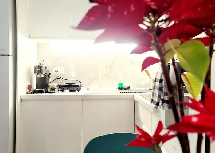 The Actors * 티라나